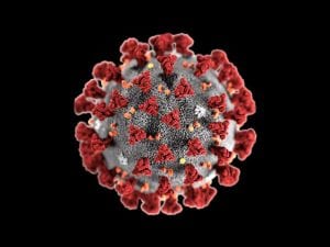 coronavirus covid 19