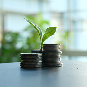 protecting my parents' investment